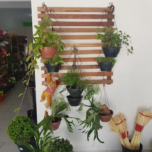 Interior real da Floricultura Cio da Terra, com plantas e vasos