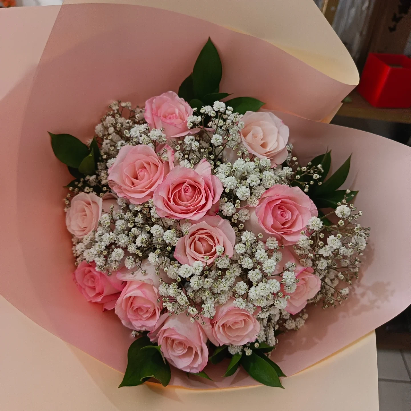 Rosas rosadas e mosquitinho