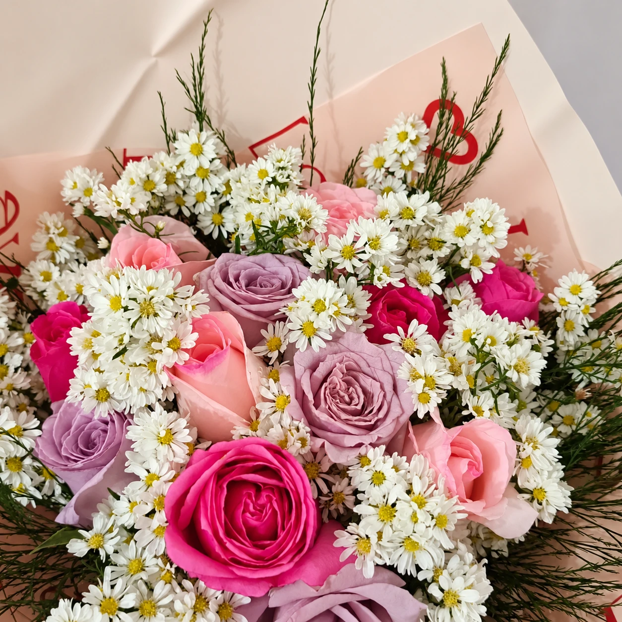 Rosas rosadas e lilases da Cio da Terra